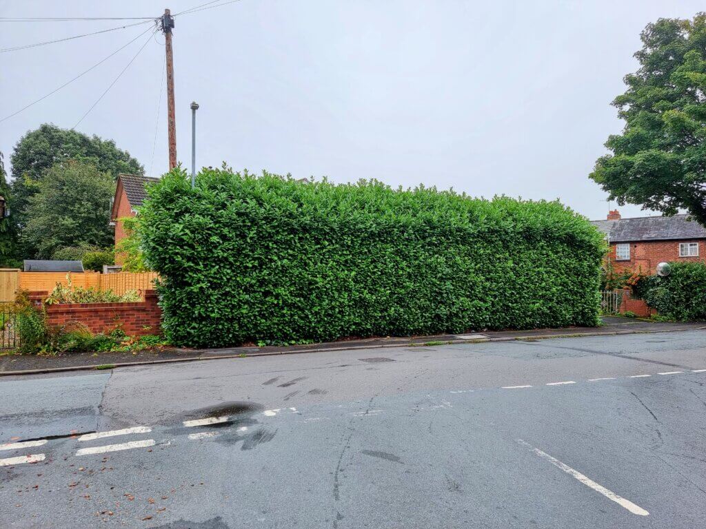 a hedge on the side of a road around a dwelling house